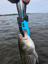 Carregar imagem no visualizador da galeria, Fish Gripper
